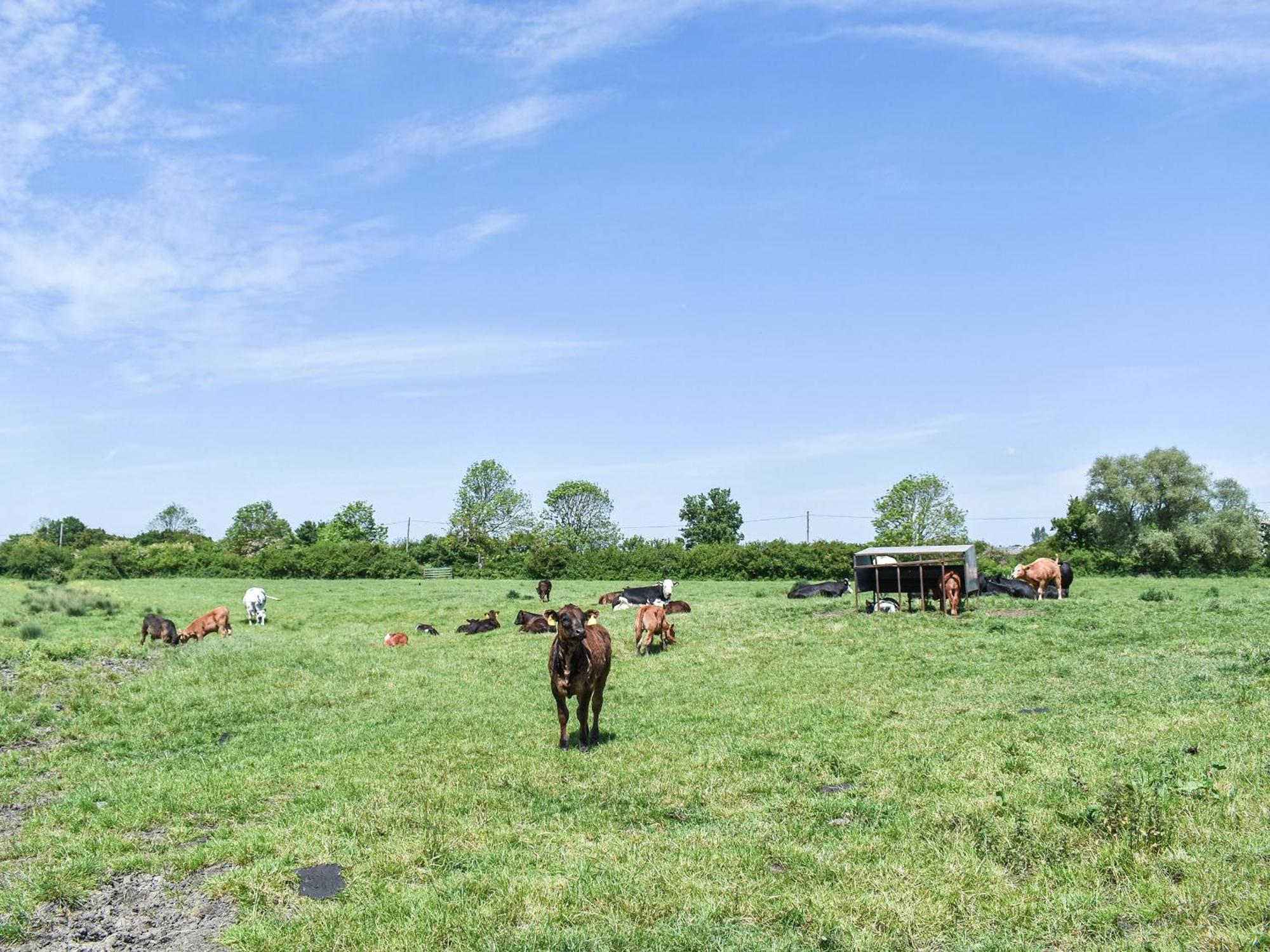 Green Acre Farm Ely Exterior foto